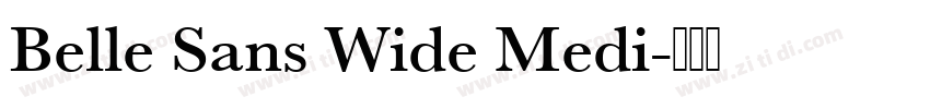 Belle Sans Wide Medi字体转换